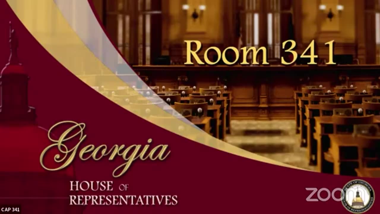 State Election Board 8.7.24 Georgia House of Representatives