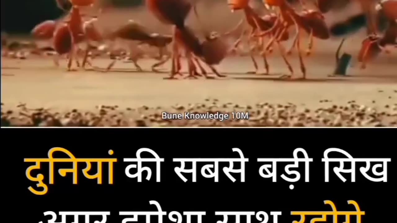 Ek Akeli ungali Hoti hai aur sath mein jyada mutthi hoti hai
