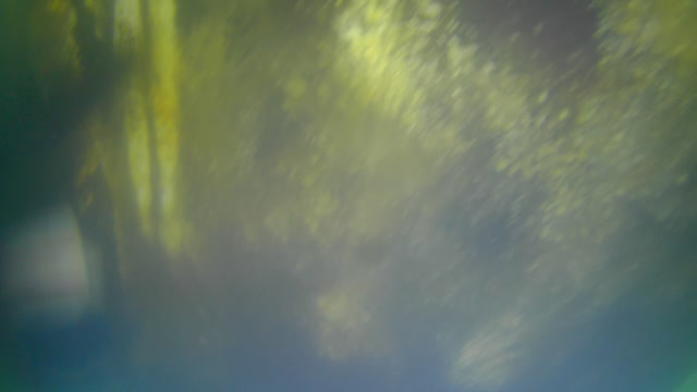 sundancer 330 underwater inspection