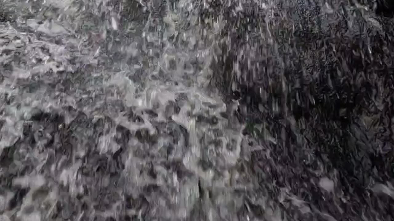 Hidden Gem We Found
