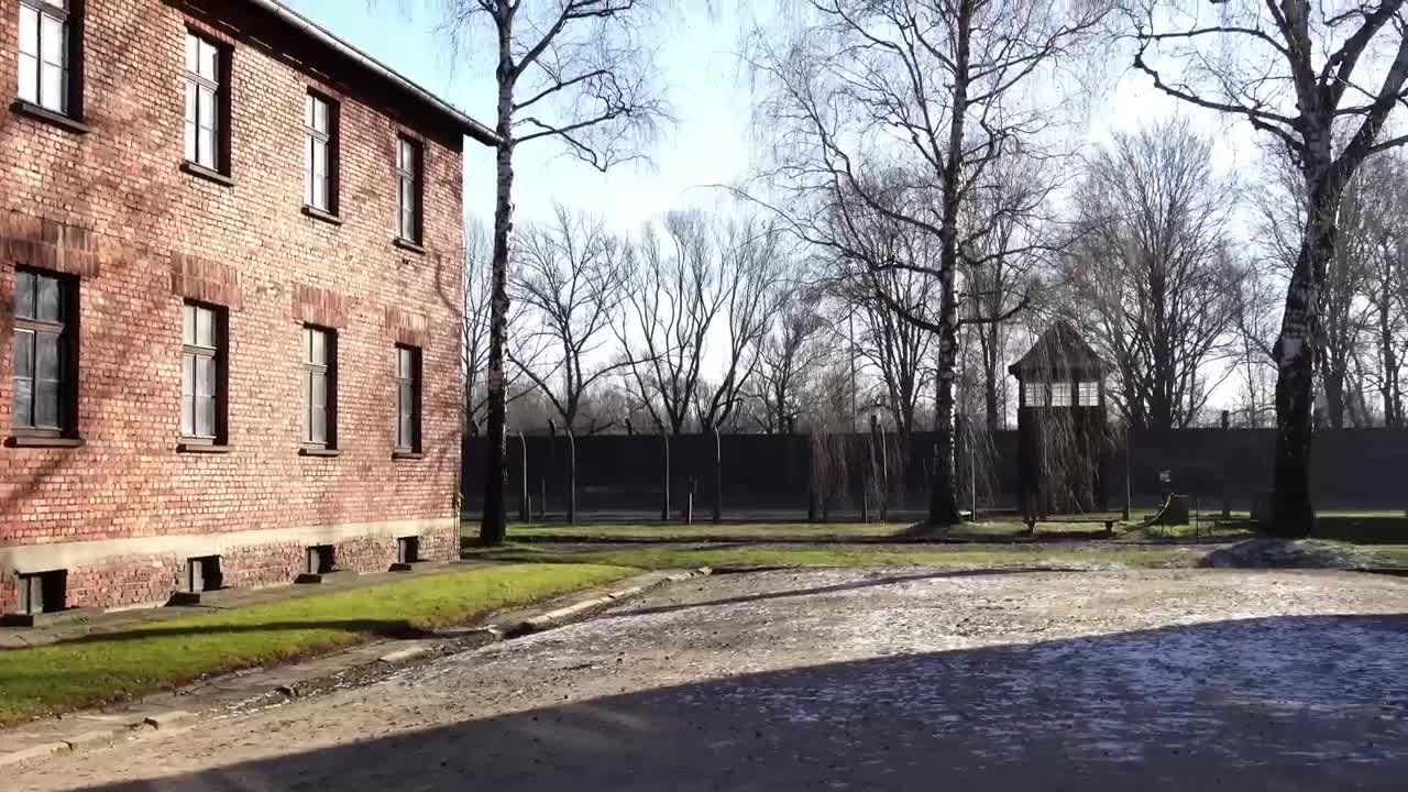 AUSCHWITZ: The Complete DISTURBING Tour | WARNING: Actual footage