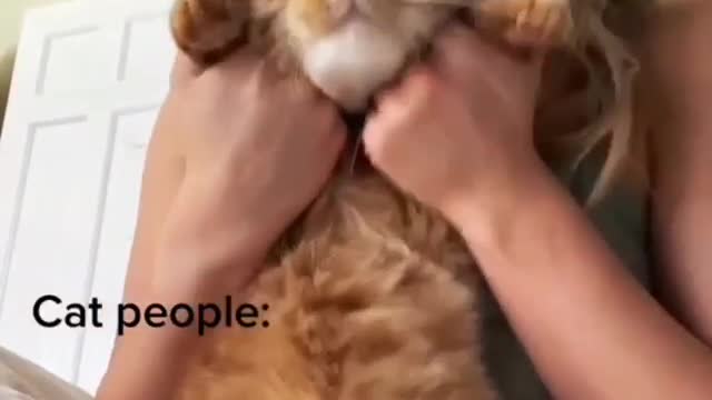 just cat person thing