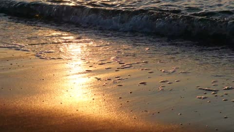 Relaxing Waves ambience on the Beach