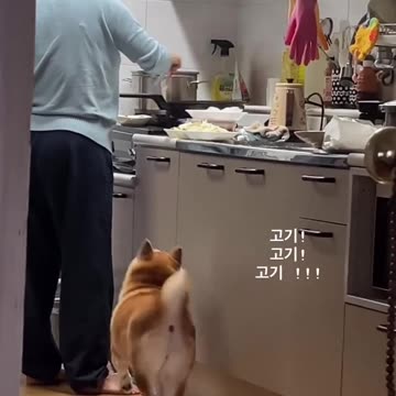 Me. When my favourite food is almost ready 🤣