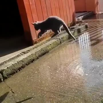 Wow good jump almost flying