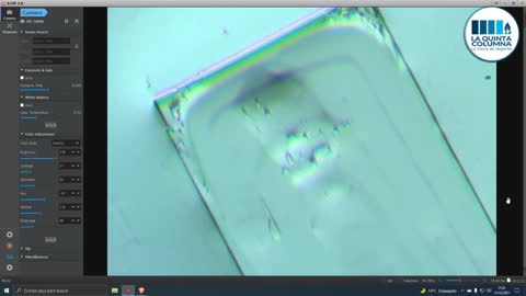 ESPANTOSO!!! ESTA MIERDA DE NANOTECNOLOGÍA VIENE EN LAS KAKUNAS