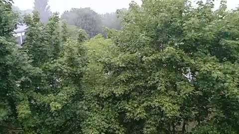 Rain