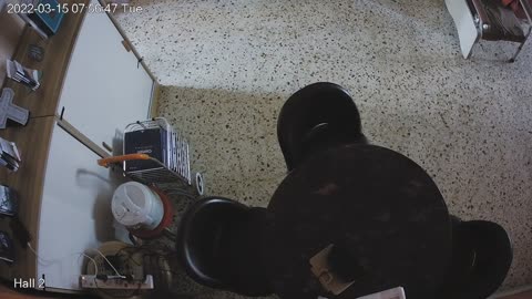 hallmid midnight 20220315