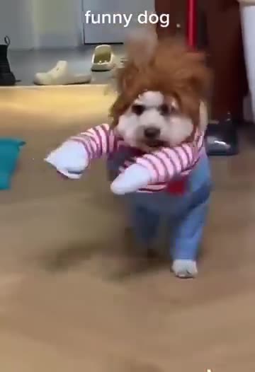 Fun with Deadly Doll Dog Costume
