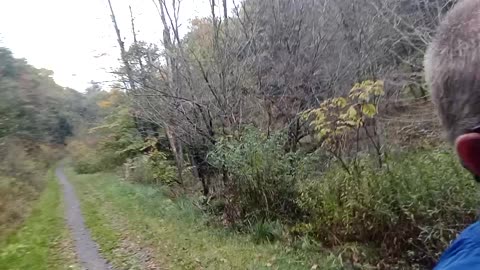 Another Training Vlog: Kinzua Valley Trail Run
