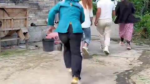 Bast funny video