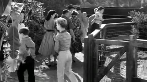 Leave It To Beaver Season 1 Episode 2