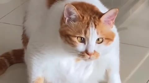 give some face