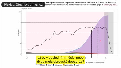 Delta neboli indická mutace? Nebo spíše politický strašák? Teď máme důkaz.