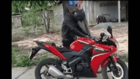 Gif video of impressing with my motorcycle