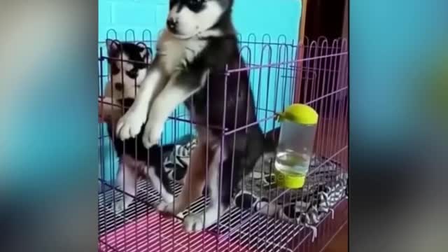 Hilarious stuff