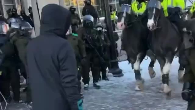 Canadian Police Trample Protesters With Horses