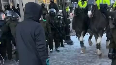 Canadian Police Trample Protesters With Horses