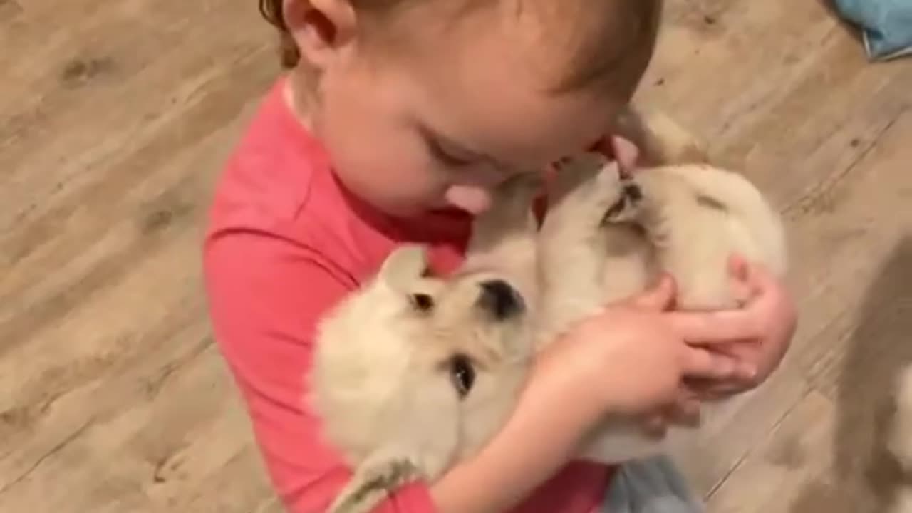 Kids and puppies