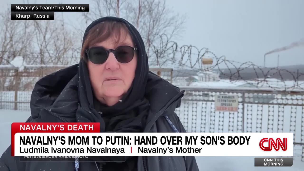 Alexey Navalny_s mother addresses Putin in new video