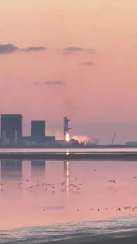 Elon Musk Reacts to the Booster Catch🚀👍