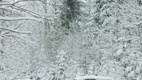 Heavy Snowfall - Beautiful Mountains