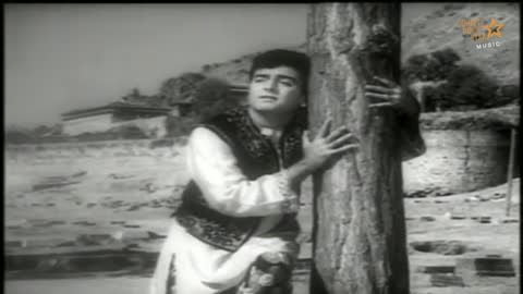 Tera Bhi Kisi Pe Dil Aaye - Ek Sapera Ek Lutera song with lyrics Feroz khan #terabhikisipedilaaye