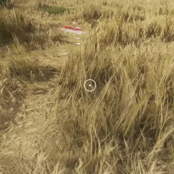 22's Are The Meta!!! Hunter Call of the Wild