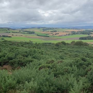 Sept 2024 Brimmond Hill Aberdeen 1