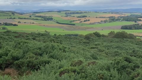 Sept 2024 Brimmond Hill Aberdeen 1