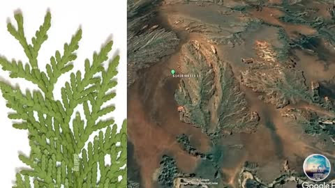 Was There a Prior Much Larger Scale Creation?