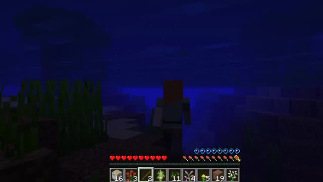 Minecraft 1-1.16.5 A new beginning Shorts 11