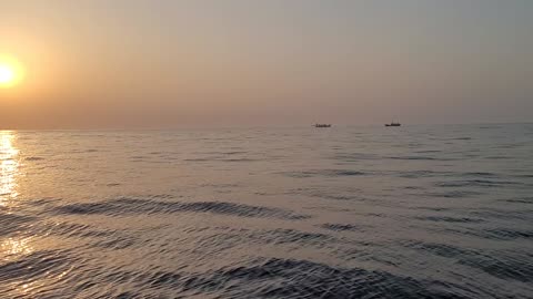 Octopus fishing in the East Sea of Korea2