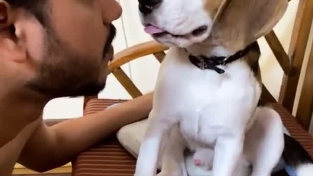 Cutest dog part 19