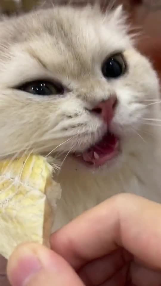 Does it look like your feet are stepping on the roar?