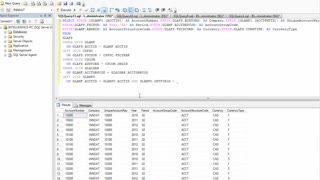 Sage 300 Optional Fields for Reporting