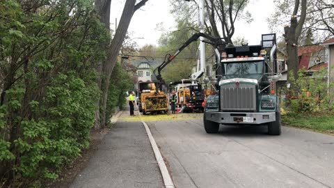 Tree going thru a Chipper..... Pretty Cool.....