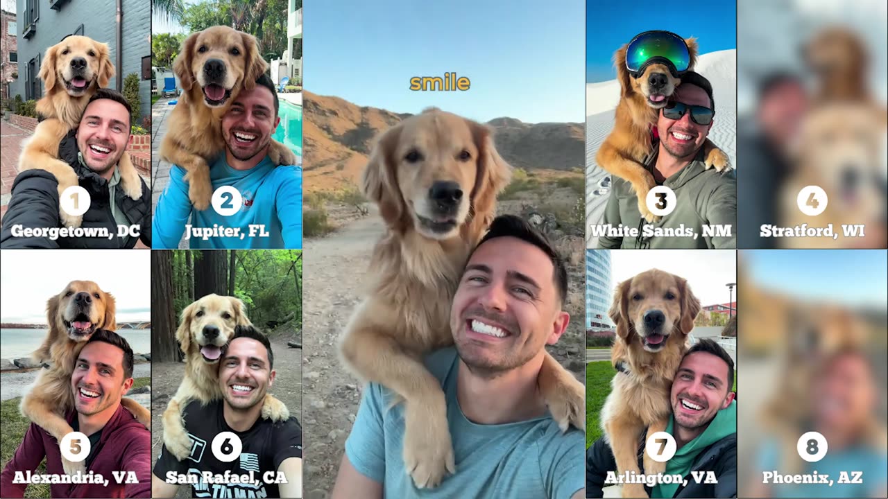 The Best Dog Selfie Compilation