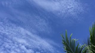Beautiful Sky