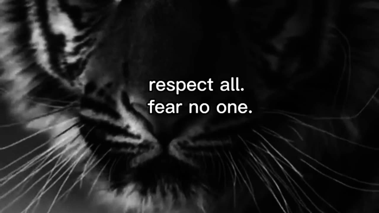 #respect all, fear no one