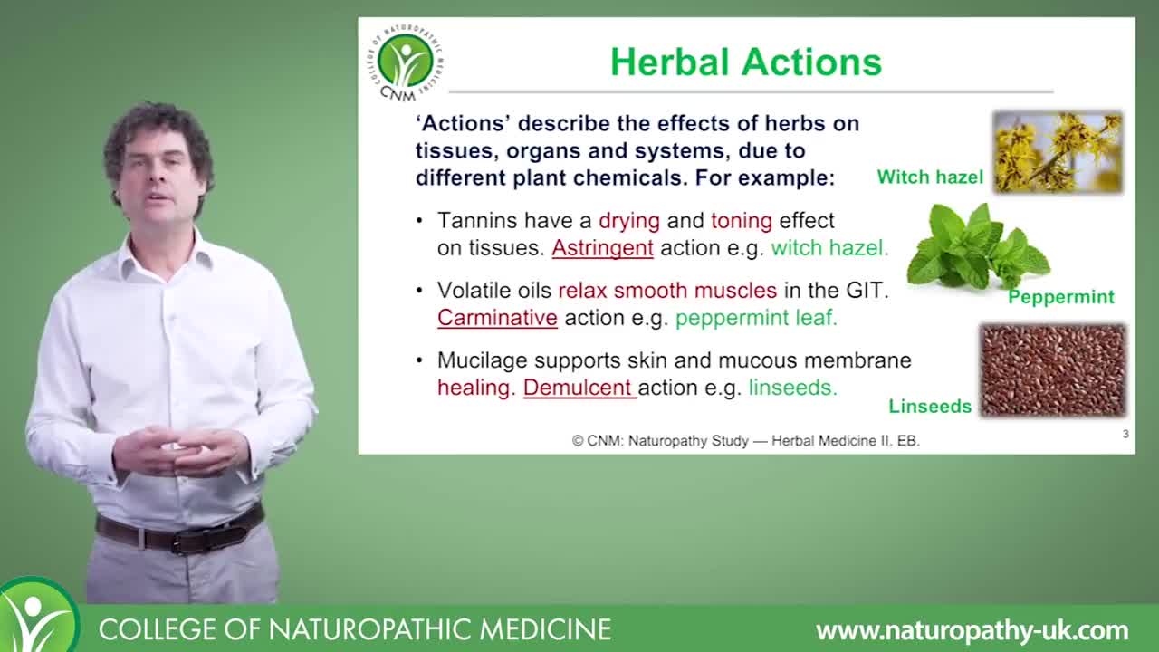 Herbal Actions