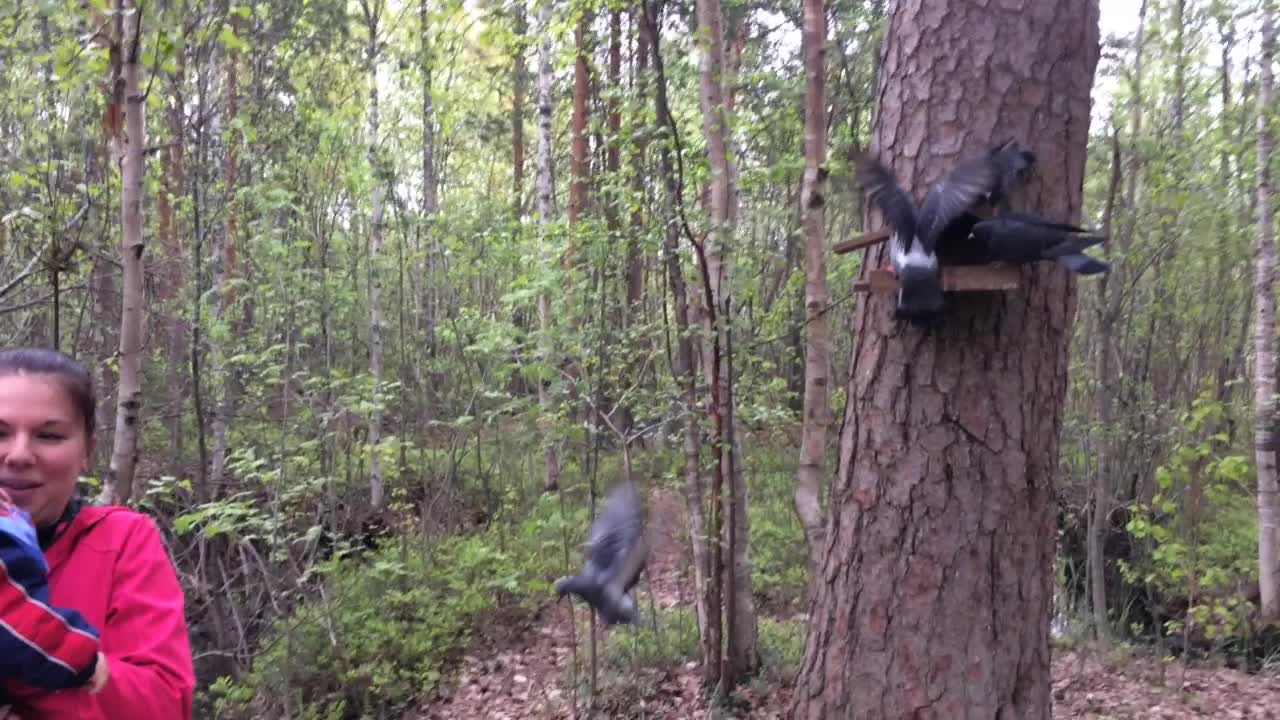 They wanted to feed the squirrels but the pigeons flew in)))