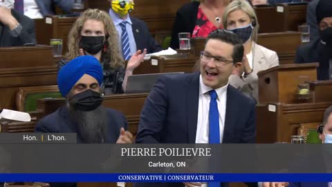 Poilievre turns up the heat on Chrystia Freeland