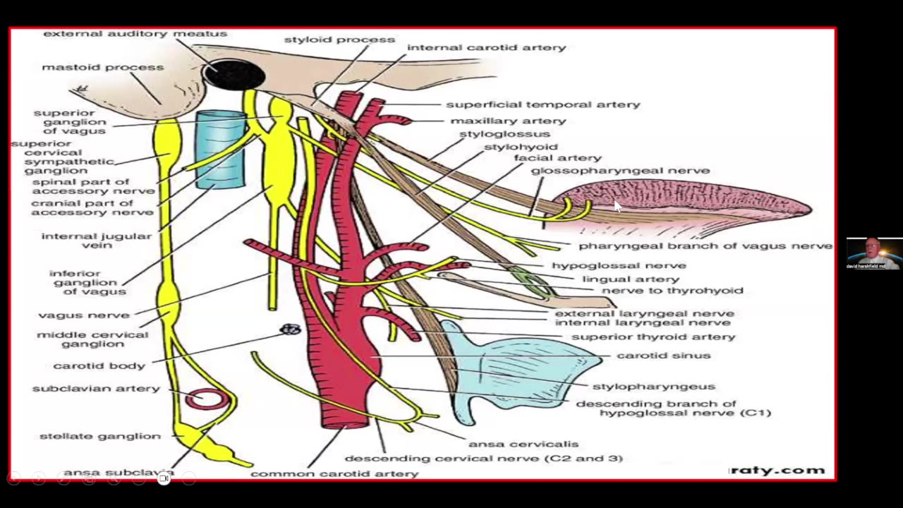 217. Kahn Kinetic Treatment (KKT) by Dr. David Harshfield