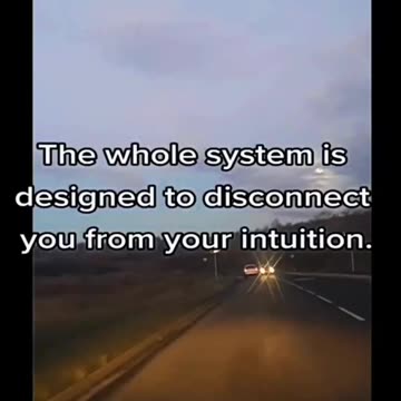 INTUITION