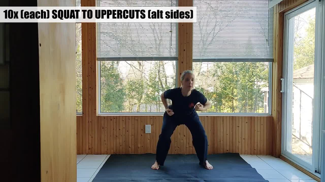 Martial Arts Fitness Training || 20min workout - Basic