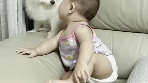 Funny baby dog