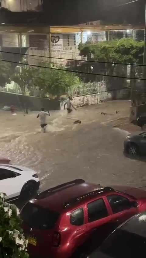 Video: Jóvenes casi se los lleva arroyo en Los Caracoles