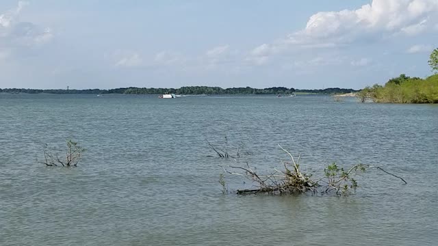 Sunny day at the lake