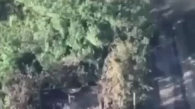 Cleansing the world of Rashists